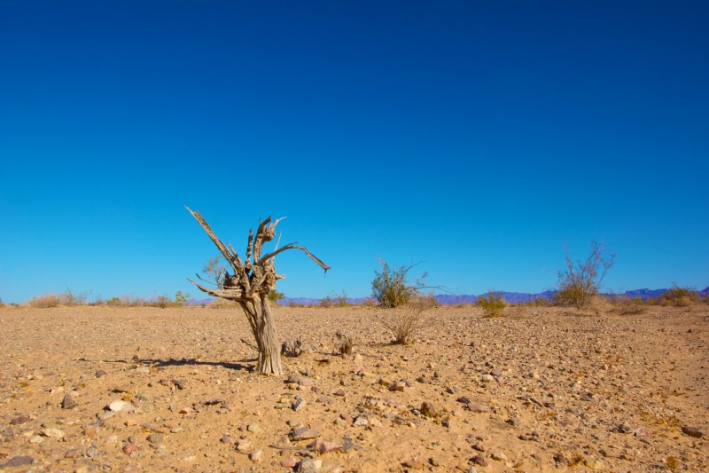 Report: Coordinated Social Media Campaigns From Oil-rich Arabic States Spread Climate Denial