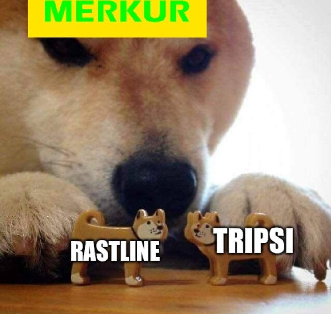 Ima še kateri ljubitelj rastlin ta problem?
