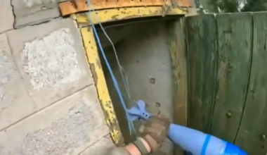 Ukrainian soldier threw a 120mm mortar shell into the basement occupied by a Russian soldier who refused to surrender. Kharkiv region. "Black Fenrir Group" at work. Published 01.08.2025