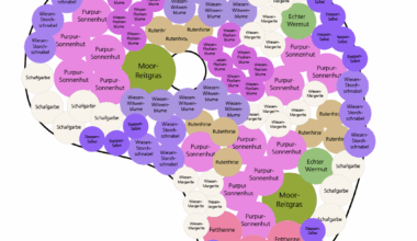 Unterstützung bei der 1. Beetplanung