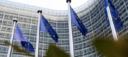 Rethinking the Rule of Law in EU Economic Governance: Insights from the 2025 Report