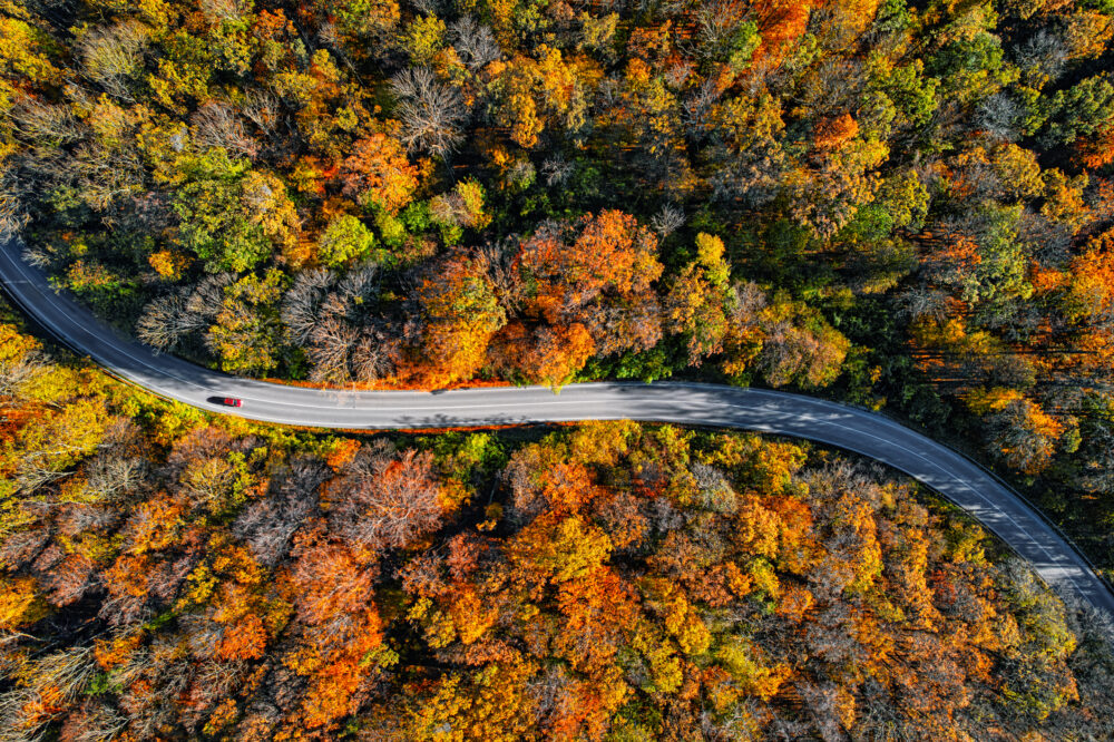 Europe’s biggest used-car markets in the first half of 2025?