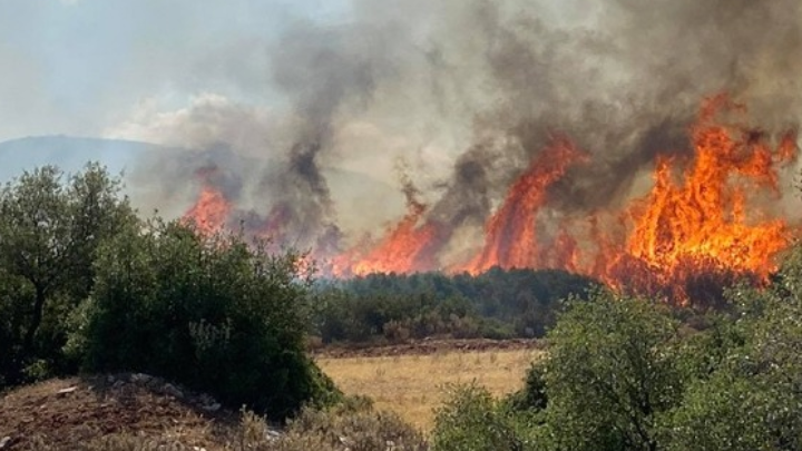Europe burns! Experts warn that countries must shift from crisis response to prevention