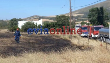 Εύβοια: Νέα έρευνα για 6 έφηβους - Εξετάζεται η συμμετοχή τους σε πυρκαγιές