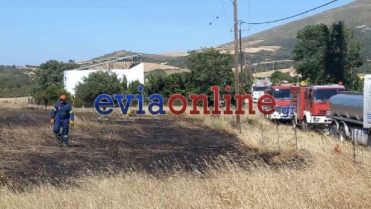 Εύβοια: Νέα έρευνα για 6 έφηβους - Εξετάζεται η συμμετοχή τους σε πυρκαγιές