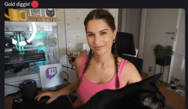Slovenski "streamerji"