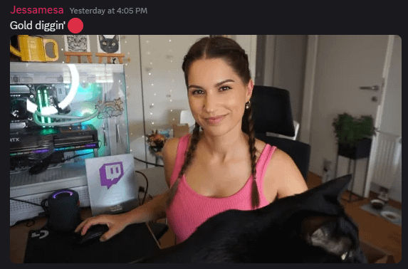 Slovenski "streamerji"