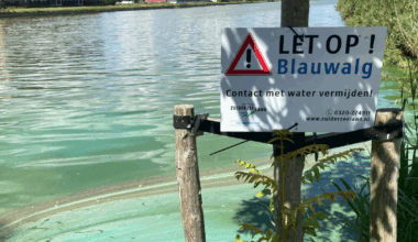 Safety warnings issued for 164 swimming locations in the Netherlands