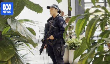 Police firearm discharged at Sydney Airport during arrest