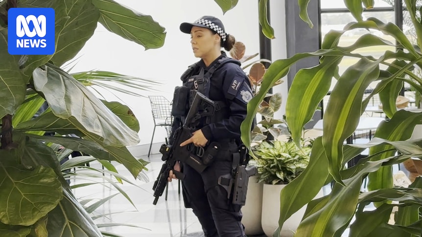 Police firearm discharged at Sydney Airport during arrest