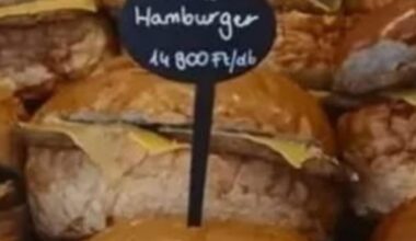 Meanwhile at Hungaroring (hány órája száradhatnak a napon?)