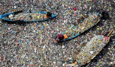 Plastics 'crisis' is costing $1.5tn in global deaths and injuries, report says