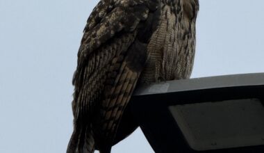 Mitten in der Stadt