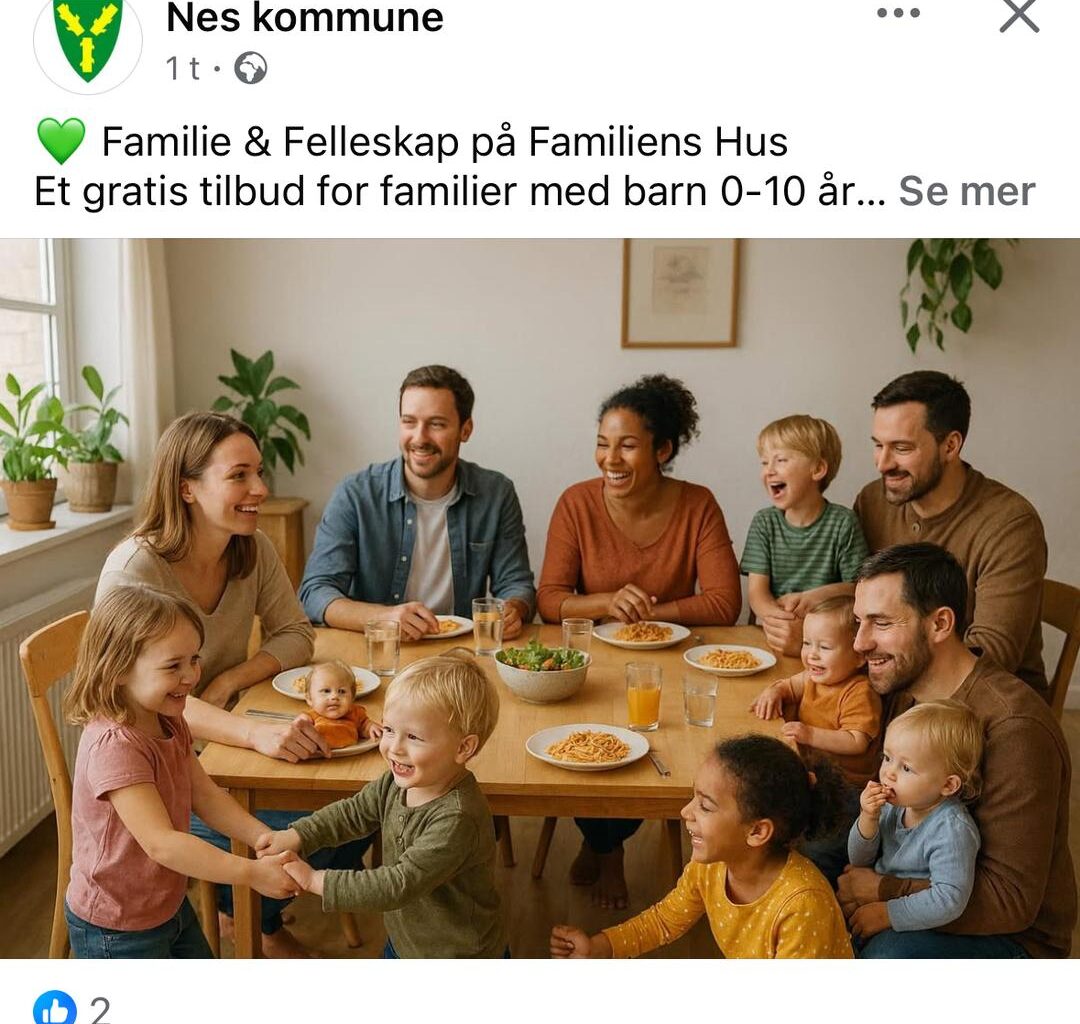 Nes kommune med AI-tabbe: - Absolutt ikke meningen