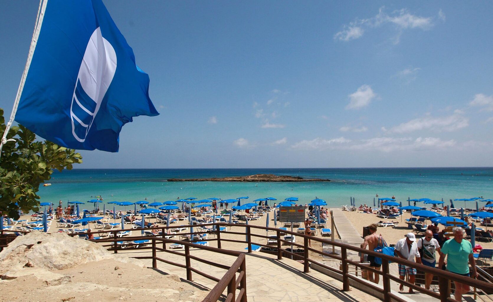 cover Blue Flags still flying on polluted beaches say Greens