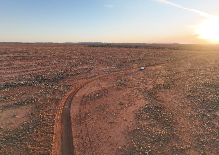 Aerial image of plains-wanderer habitat in the South Australian semi-arid rangeland