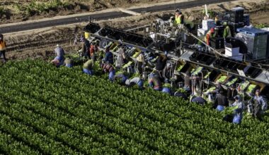 President Trump’s views on immigrant farmworkers reflect a long history of how farming has been idealized and practiced in America