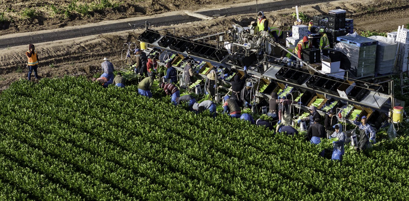 President Trump’s views on immigrant farmworkers reflect a long history of how farming has been idealized and practiced in America