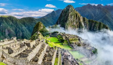 how llamas, terraces and trees could help the Andes survive climate change
