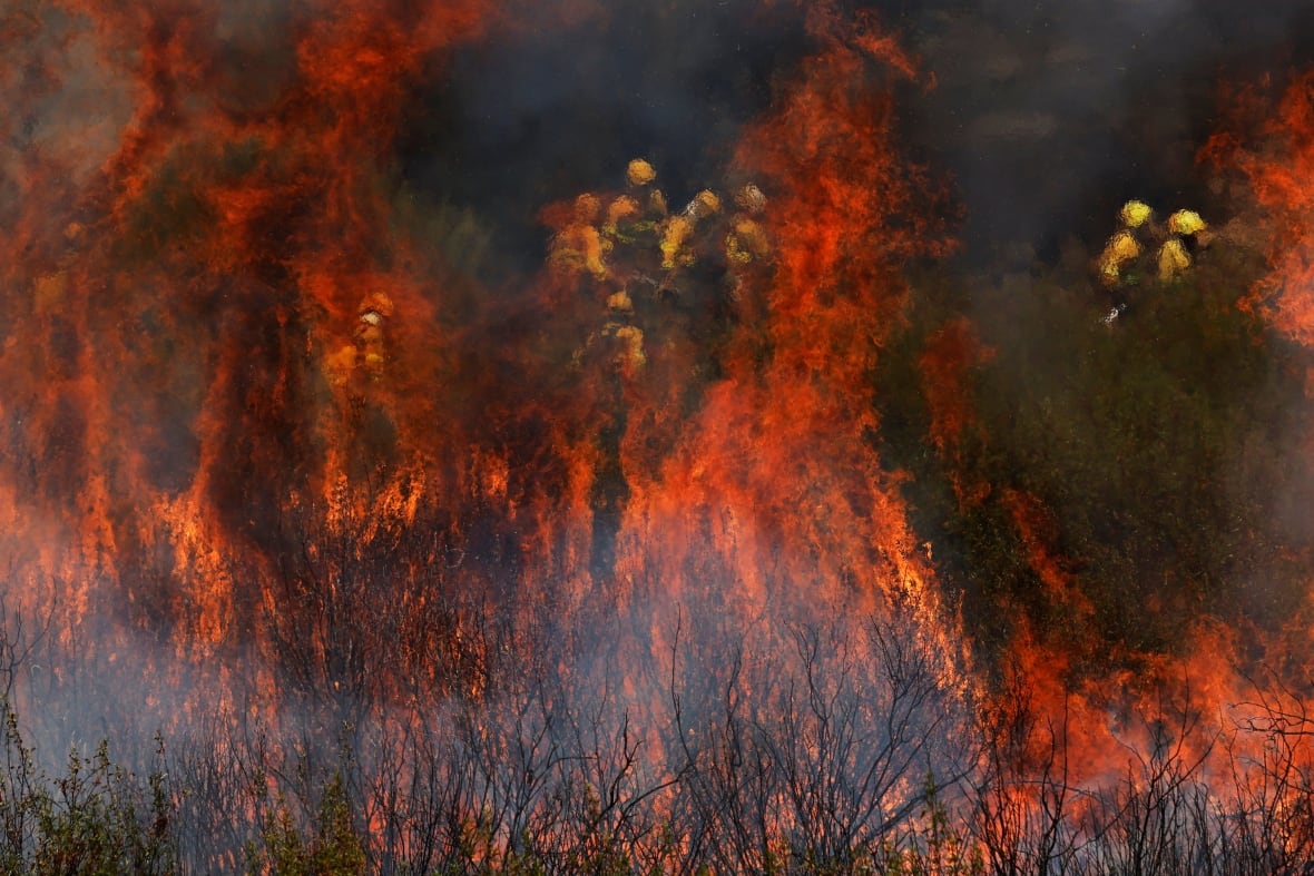 Firefighters working on a wildfire on the outskirts of Abejera de Tabara, in Spain's Zamora province.