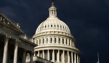 US Congress group calls for Ireland to be added to Israel boycott list if OTB passed