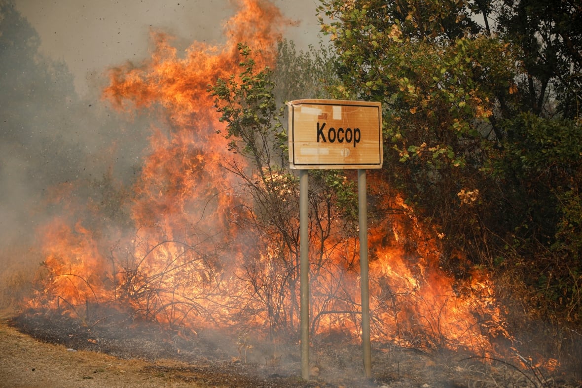 Wildfire flames are seen in Kosor, Montenegro, in August 2025.
