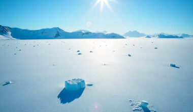 Argentina, Australia, Chile, New Zealand, South Africa Caution U.S. Tourists About Antarctica’s Remote Dangers