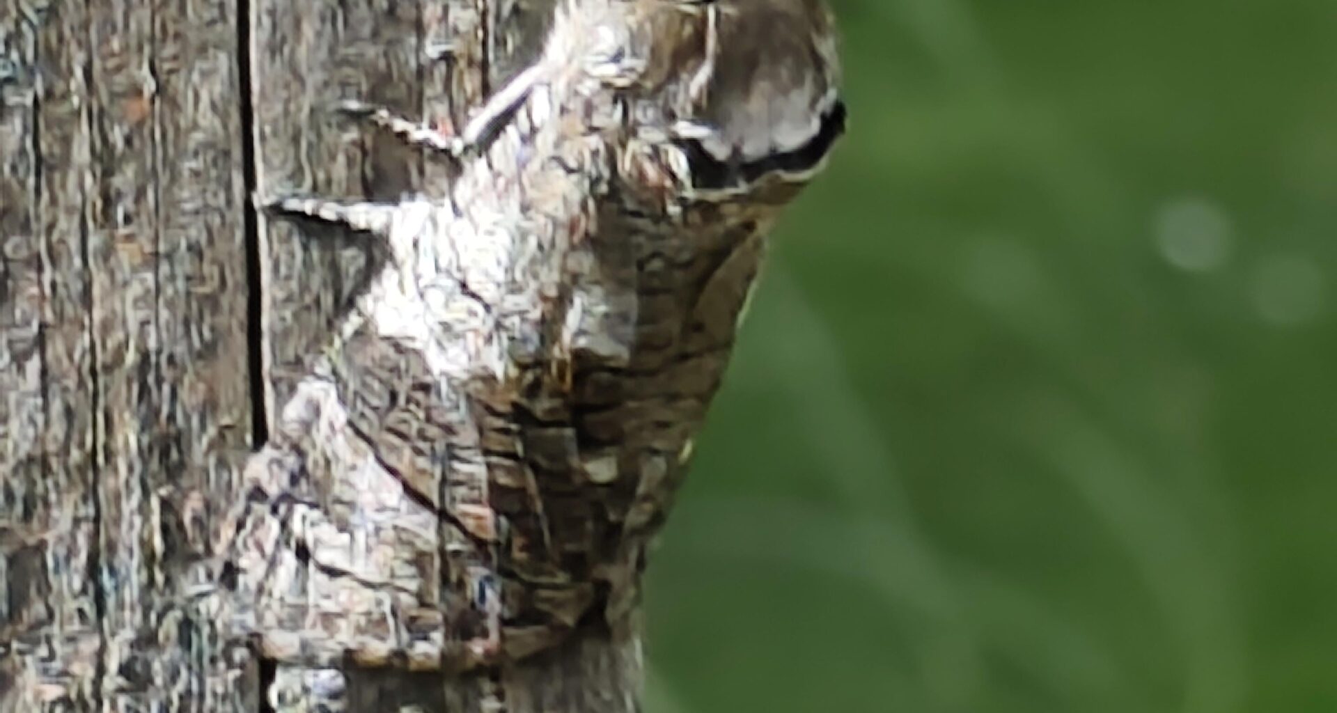Was ist das?