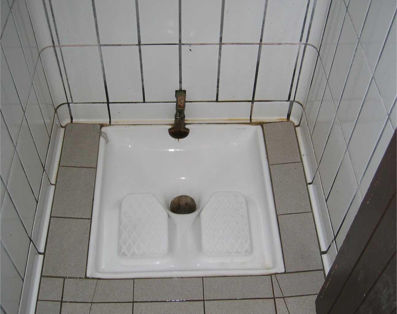 How do you call this type of toilette in your language? (In Italian it's "Turkish toilette")