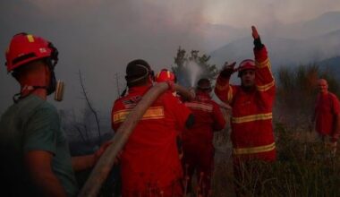 Fires rage in several European countries as sweltering heat continues. 'We are being cooked alive,' says Alexandre Favaios, a mayor in Portugal