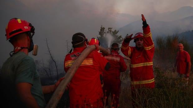 Fires rage in several European countries as sweltering heat continues. 'We are being cooked alive,' says Alexandre Favaios, a mayor in Portugal