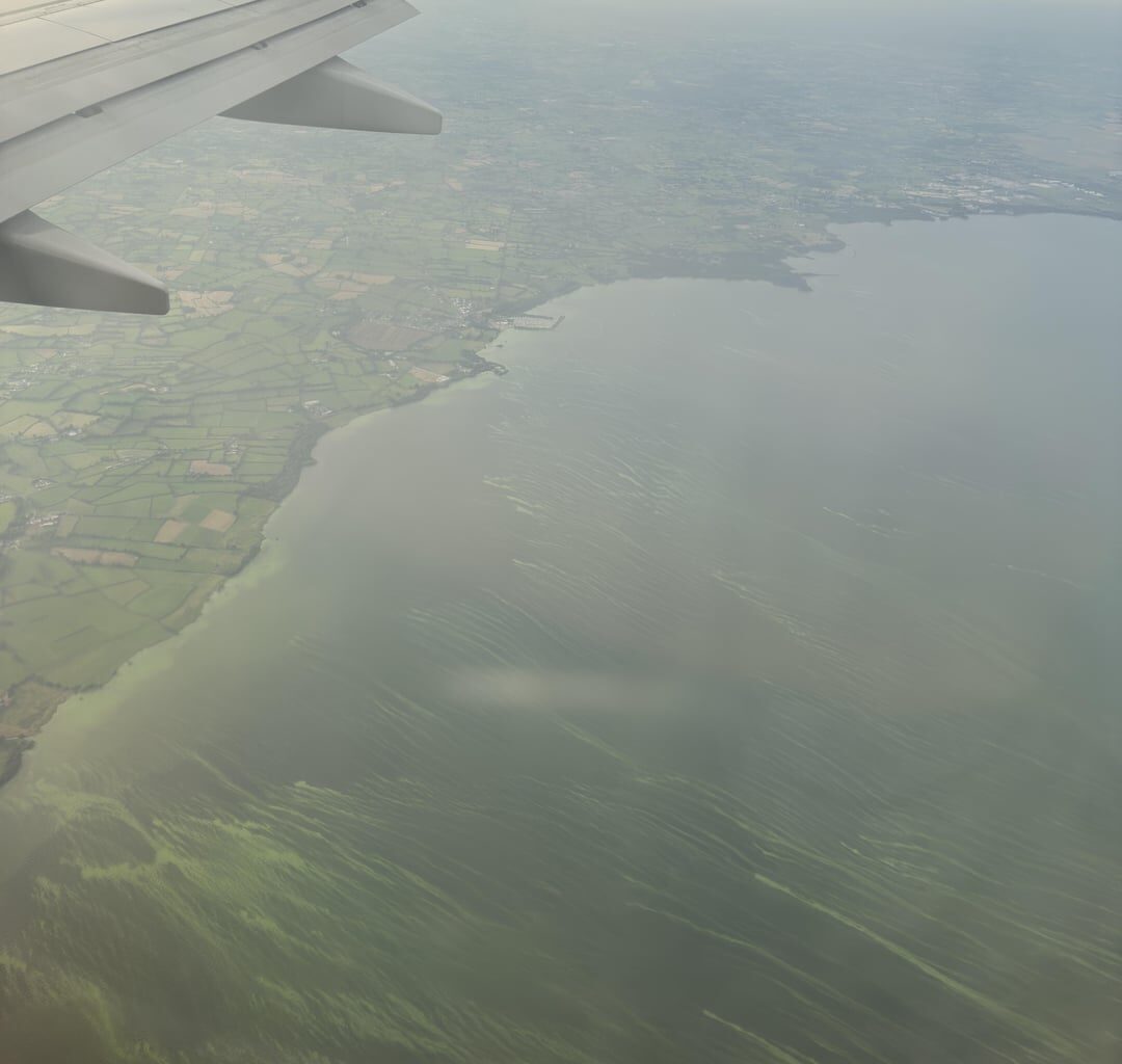 A view of all that green shite in Lough Neagh from a plane