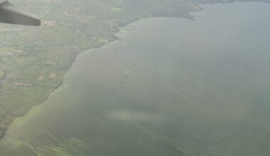 A view of all that green shite in Lough Neagh from a plane
