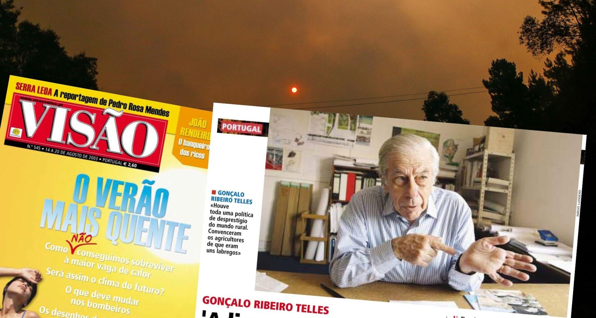 Visão | Gonçalo Ribeiro Telles: "A limpeza das florestas é um mito”