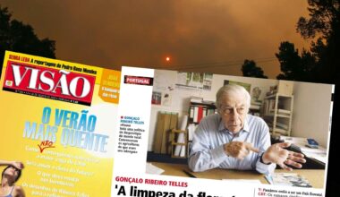 Visão | Gonçalo Ribeiro Telles: "A limpeza das florestas é um mito”