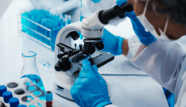 TAU-Led Project Explores the Origins of Epigenetic Inheritance