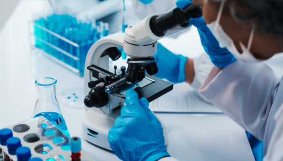 TAU-Led Project Explores the Origins of Epigenetic Inheritance