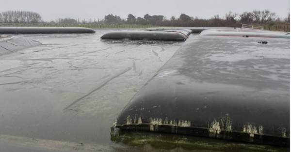 Decades of sludge cleared from Wairarapa wastewater pond