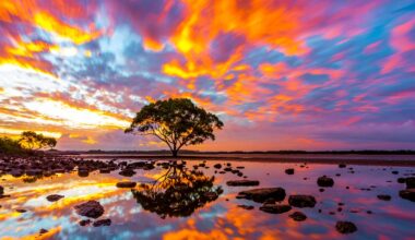 Scientists Found the First Branch on the Tree of Life