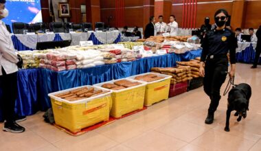 Woman arrested in Bali over cocaine allegedly smuggled in sex toy, could face death penalty if convicted