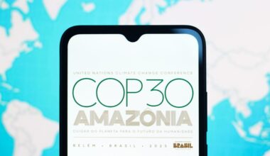 COP30 logo