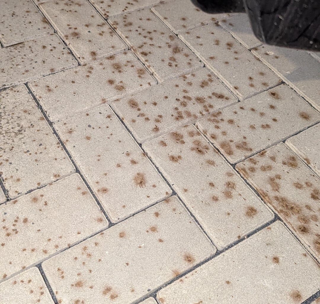 Flecken auf Pflastersteinen entfernen