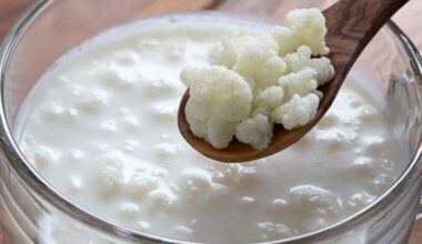 TIL: Kefir powstaje z ziaren kefirowych, które nie wiadomo skąd się wzięły a żeby je zdobyć trzeba je otrzymać od kogoś kto już je posiada i rozmnaża