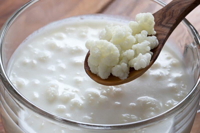 TIL: Kefir powstaje z ziaren kefirowych, które nie wiadomo skąd się wzięły a żeby je zdobyć trzeba je otrzymać od kogoś kto już je posiada i rozmnaża