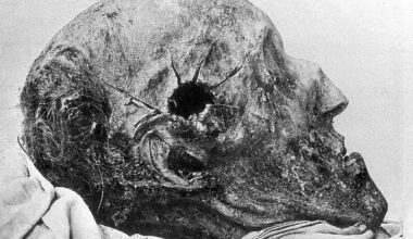 The head of the great commander and King of Sweden Charles XII with a hole from a fatal bullet received during the siege of the Fredriksten fortress in Norway.