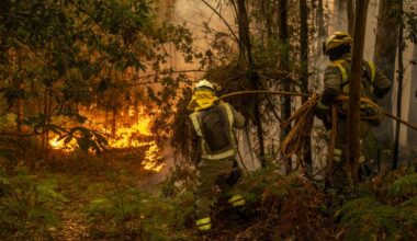 Spain’s Sanchez Calls for National Climate Pact as Fires Rage