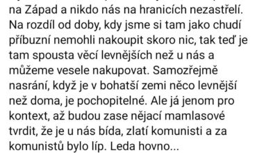 Kdo si pamatuje na zájezdy Karosou do Rakouska?