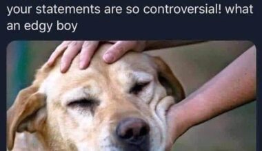 Reformers when they make their fifty seventh meme about people on boats.