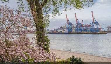 German economic activity stabilised slightly at the beginning of the year, but outlook significantly gloomier