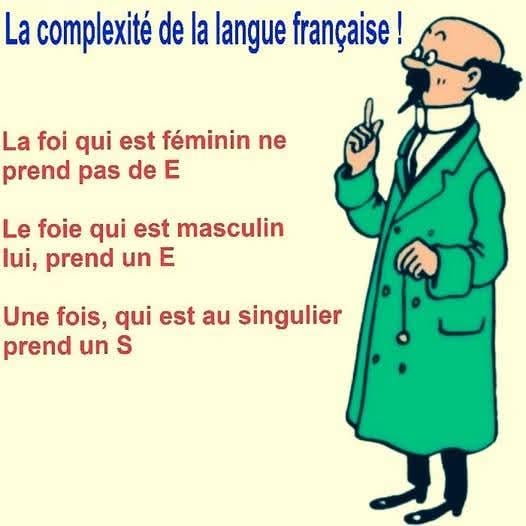 Being in belgium and trying to understand french be like